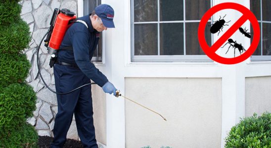 Kurucaşile Tahtakurusu İlaçlama böcek ilaçlama ve haşere kontrolü — ilaclama-tr.com